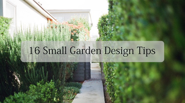 16 Small Garden Design Tips