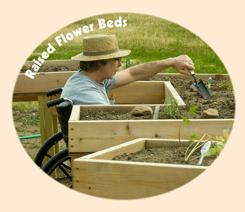 the image shows a Man in wheelchair planting in raised flower beds