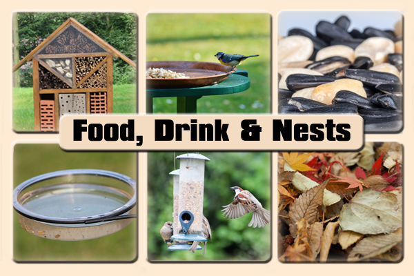 Food, Drink & Nests