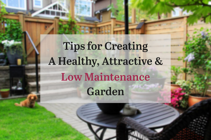 Tips For Creating A Low Maintenance Garden
