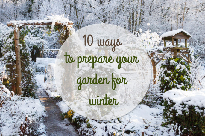 10 Ways To Prepare Your Garden For Winter