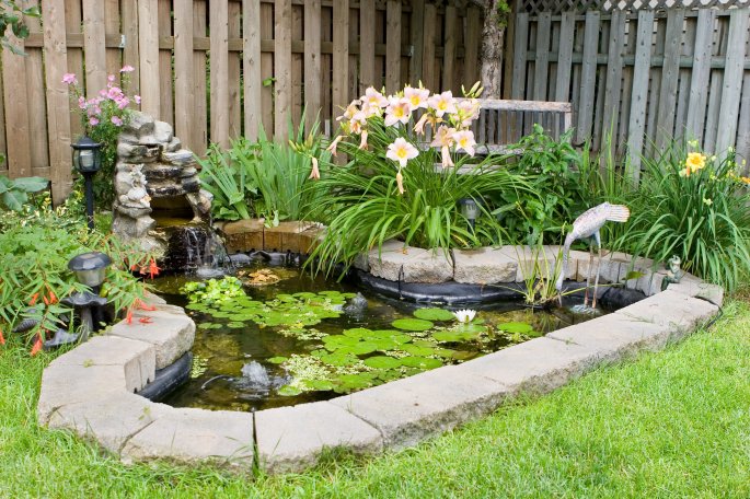 A Garden Pond