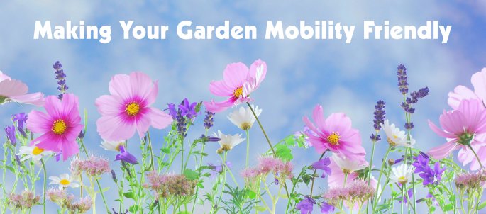 the image shows purple flowers  on a blue sky