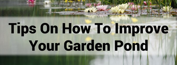 Tips On How To Improve Your Garden Pond