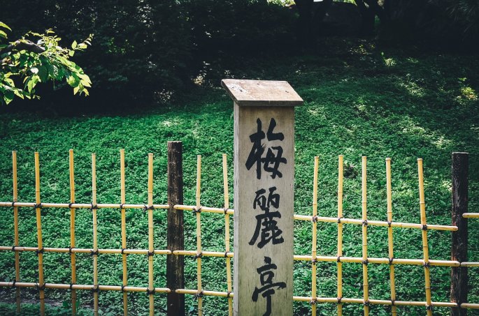 Bamboo Fence