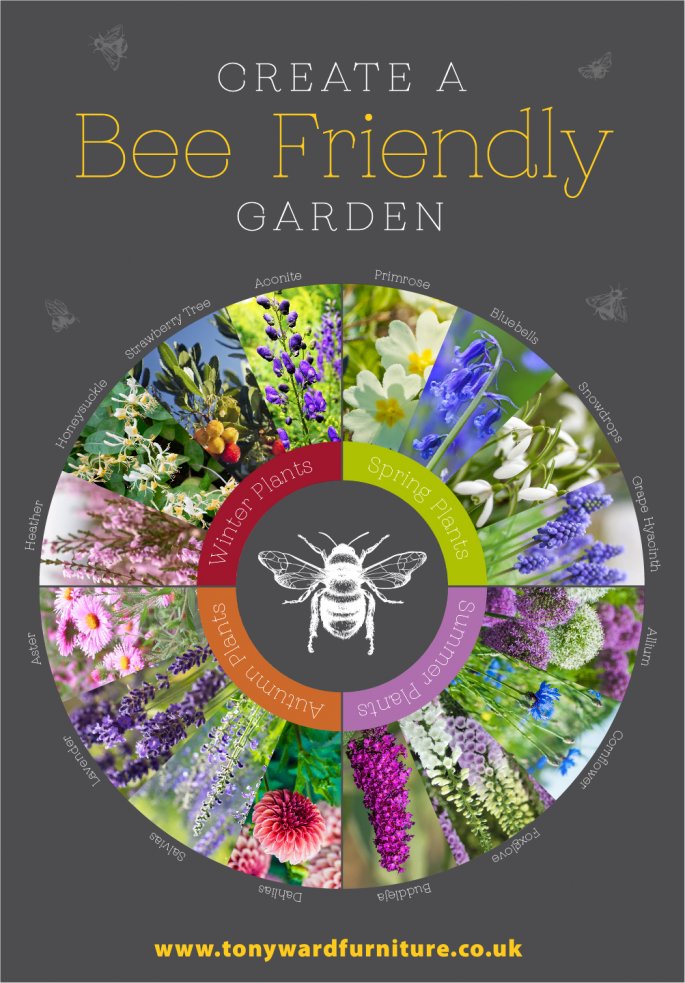 Bee Friendly Garden Flowers