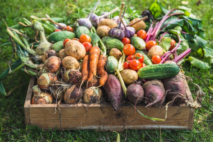 Pallet Of Vegetables