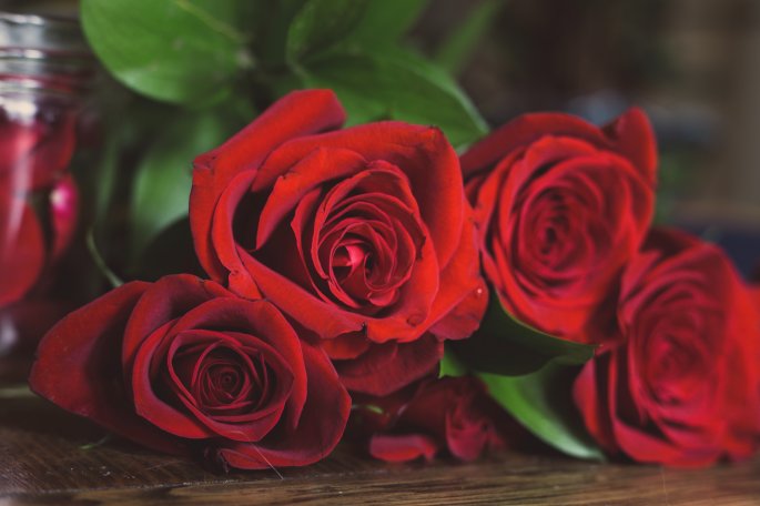 Red Roses