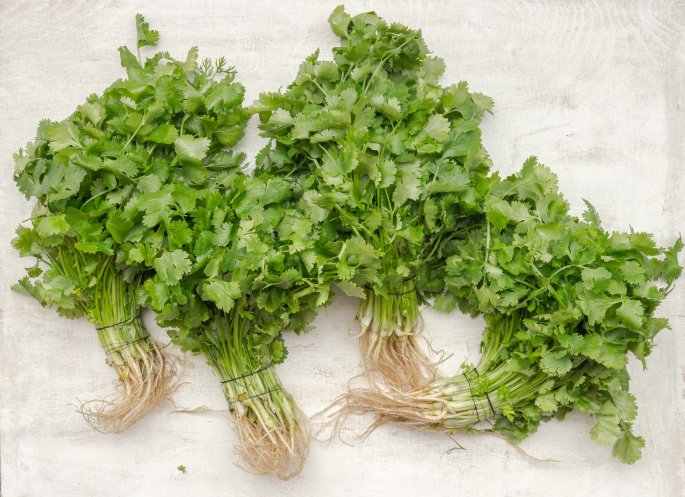 Fresh Herbs On A Table