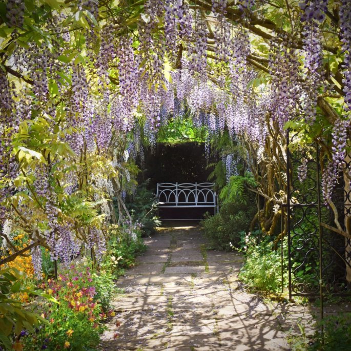 Bench At The End Of A Flowery Pathway