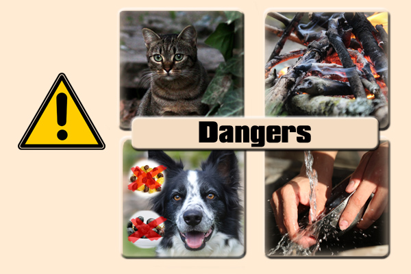 Dangers