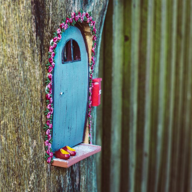 Fairy Door Carved In A Tree