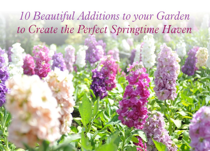 Create The Perfect Springtime Haven