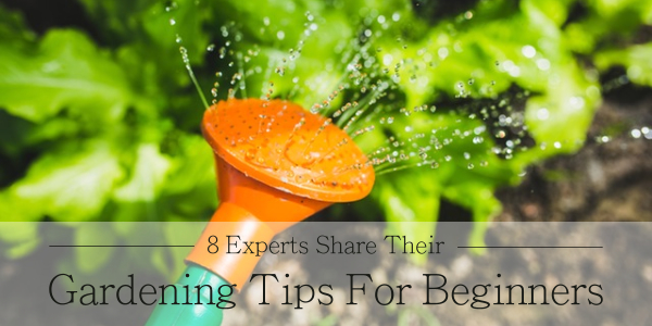 Gardening Tips For Beginners