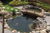 12ft Vicroria garden pond bridge